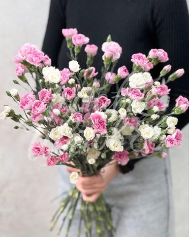 Гвоздика кустовая,микс